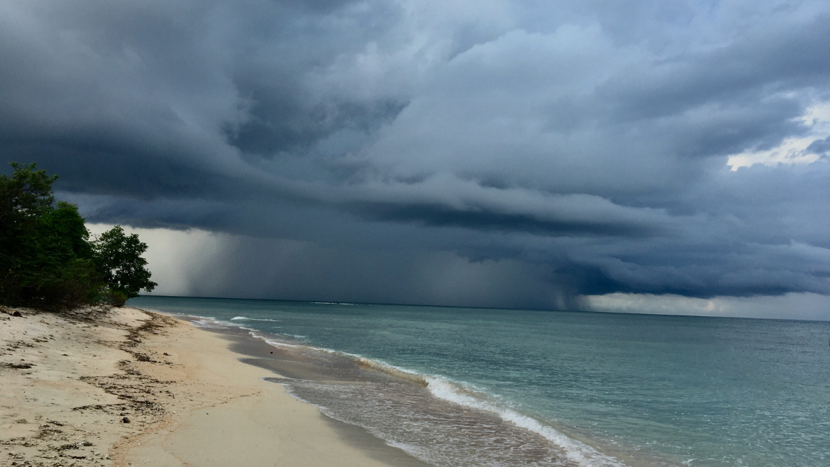 Bitchat Becomes Jamaica&rsquo;s Go-to App as Hurricane Melissa Cripples Communication